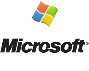erp-microsoft