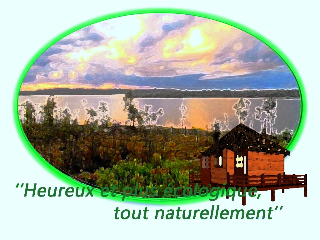 Référence Atout Persona